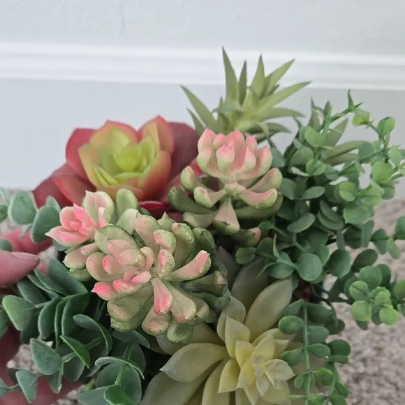 Succulent Arrangement in Gray Metal Pot - Picture 6 of 9
